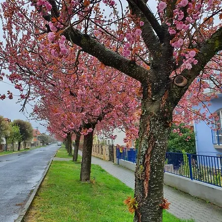 Laguna Apartmanhaz Lejlighed