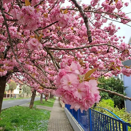 Lejlighed Laguna Apartmanhaz Hévíz