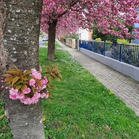 Lejlighed Laguna Apartmanhaz