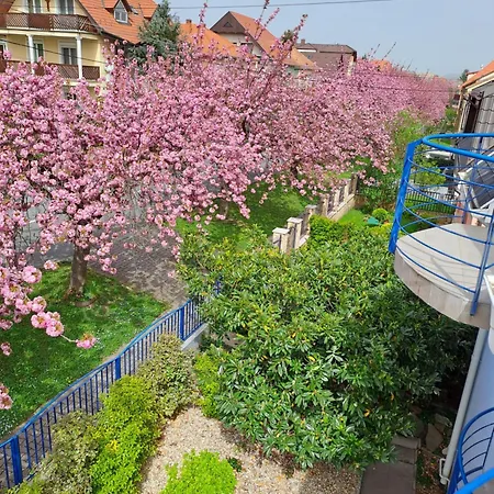 Laguna Apartmanhaz アパート ヘーヴィーズ