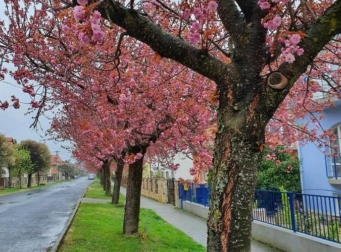 Laguna Apartmanhaz Appartamento