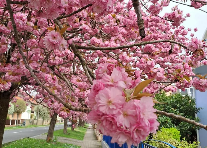 דירה Laguna Apartmanhaz Hévíz